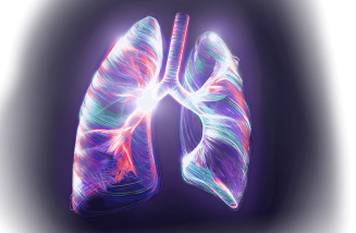 lung swoosh Human Lung